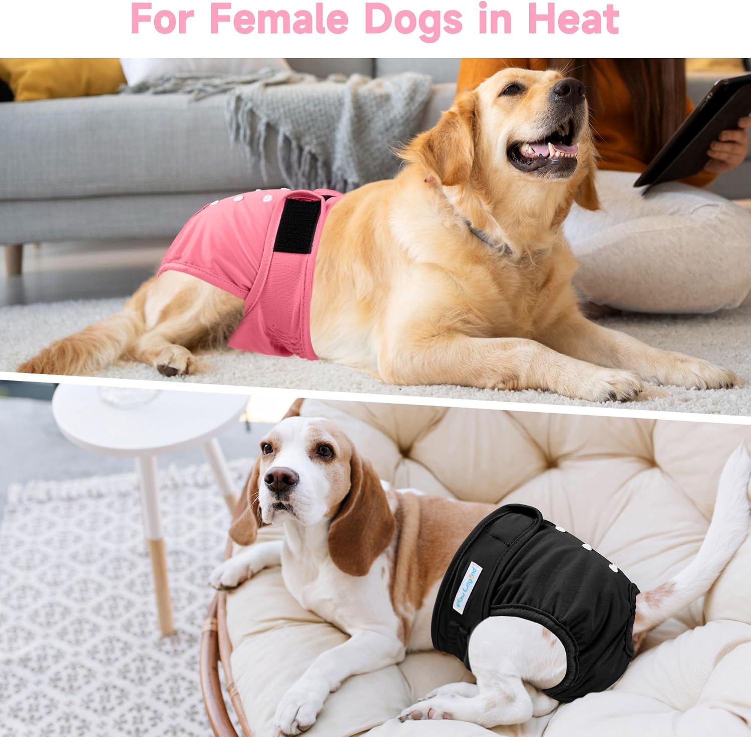 Paw Legend Washable Reusable Female Dog Period Diapers for Heat Doggie Puppy Diapers for Female Dogs (3 Pack,X-Small) image 5