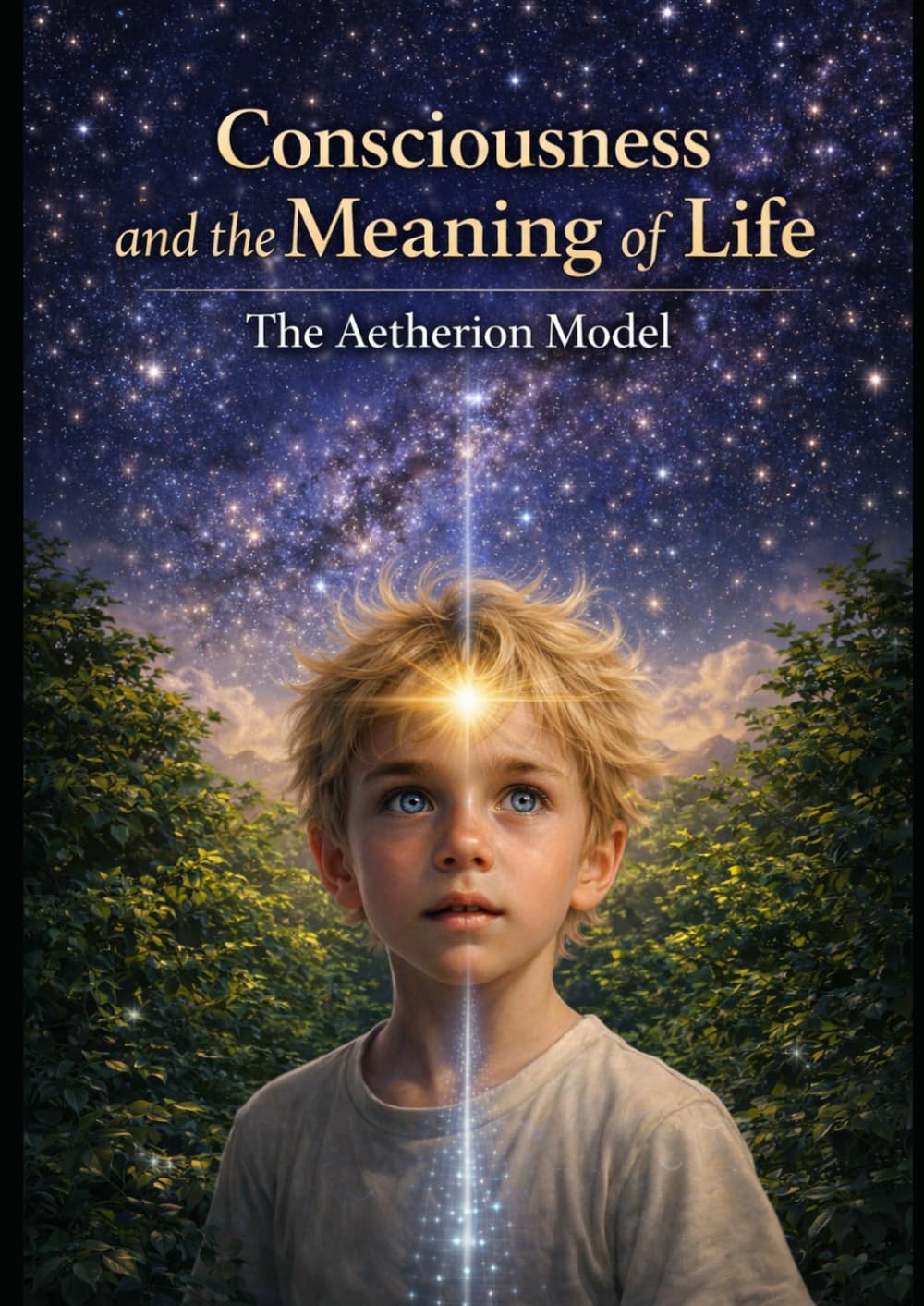 Consciousness and the Meaning of Life: The Aetherion Model