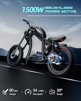 BIGNIU Electric Bike for Adults, EBike with 1500W Brushless Motor 48V/31.5Ah Up to 40 Miles E-Bike Off-Road Front/Rear Turn Signal Dual Suspension Electric Dirt Bike