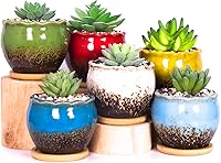 Vista 1 de ARTKETTY Succulent Pots - 4 Inch Ceramic Succulent Planters with Drainage Tray Set of 6, Small Cactus Pots for Indoor Plants Colorful Flower Plant