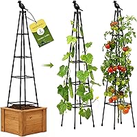 MQHUAYU 2 Pack 65 Inch Rustproof Garden Trellis for Climbing Plants, Cucumbers, Vines - Adjustable Obelisk Support Indoor Outdoor