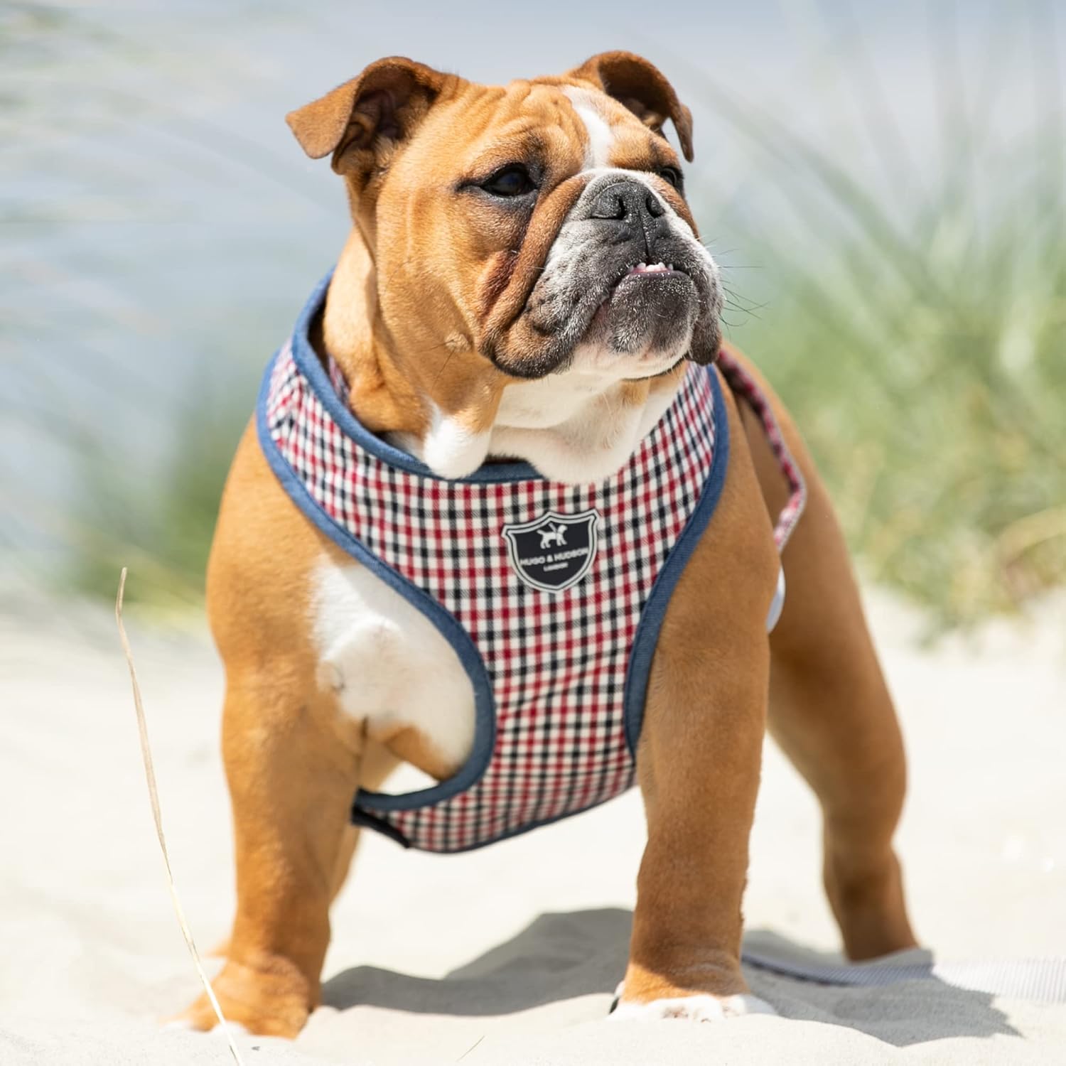 HUGO & HUDSON Dog Harness No Pull Adjustable Fabric Rear Buckle Pet Vest, Navy & Red Checked, L, Red and Blue - Image 3