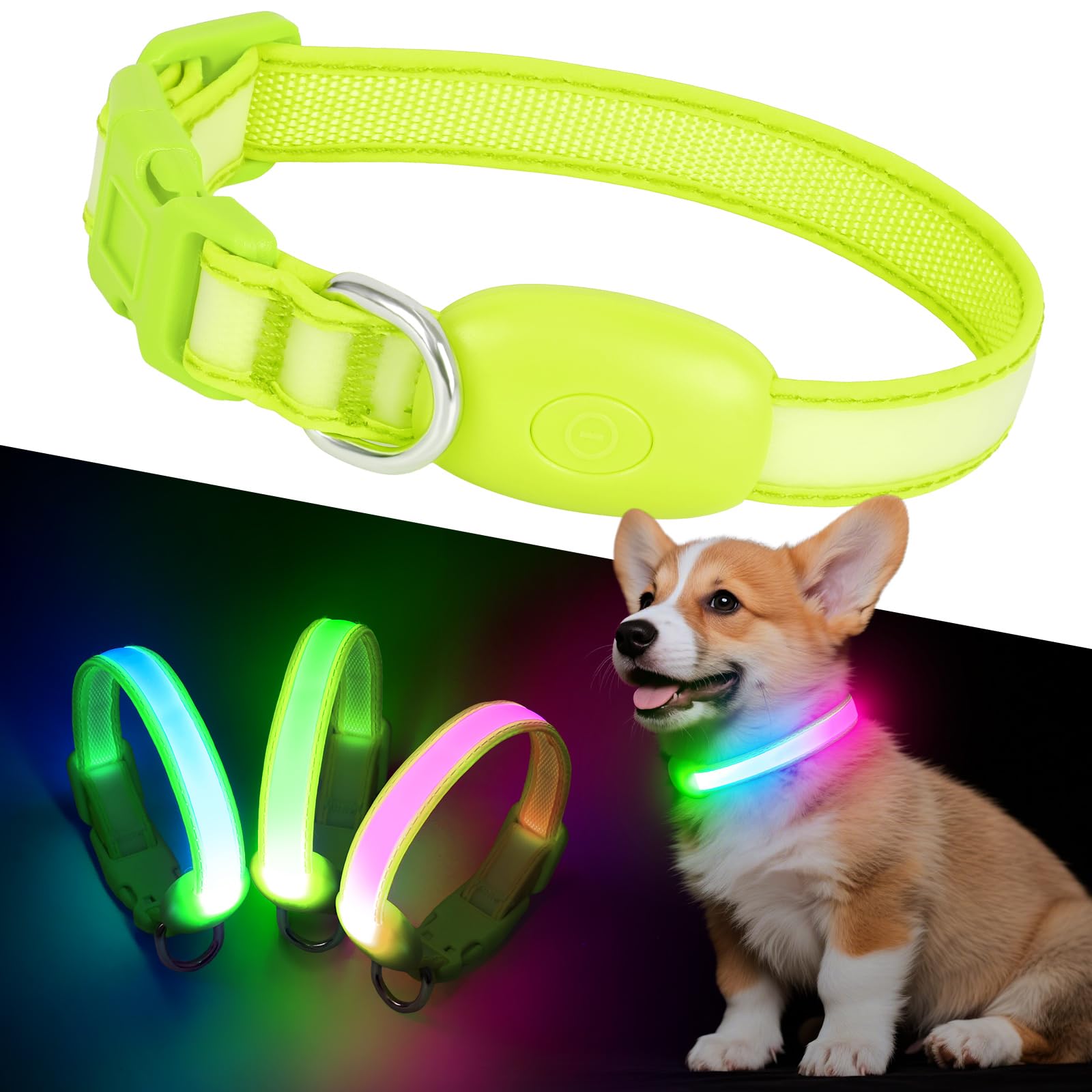 Light up Dog Collar, Multi-Color LED Dog Collar, USB-C Rechargable