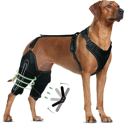 LISPOO - Rodillera para perro para pierna trasera desgarrada, rótula luxante, ligamento cruzado, rodillera para perro Acl soporte para pierna