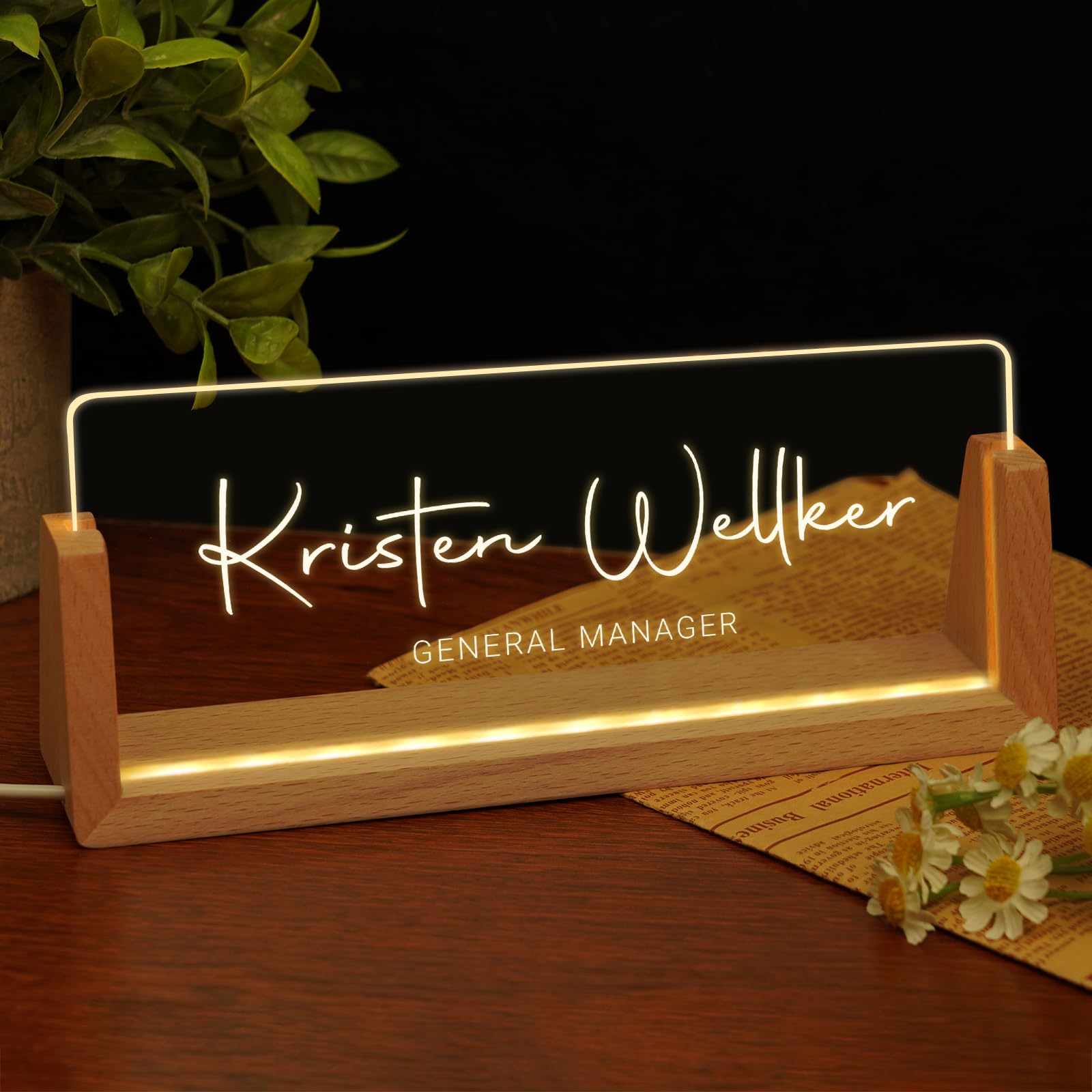 Custom Name Plate For Desk, Employee Appreciation Gifts, Office Decor - View #7