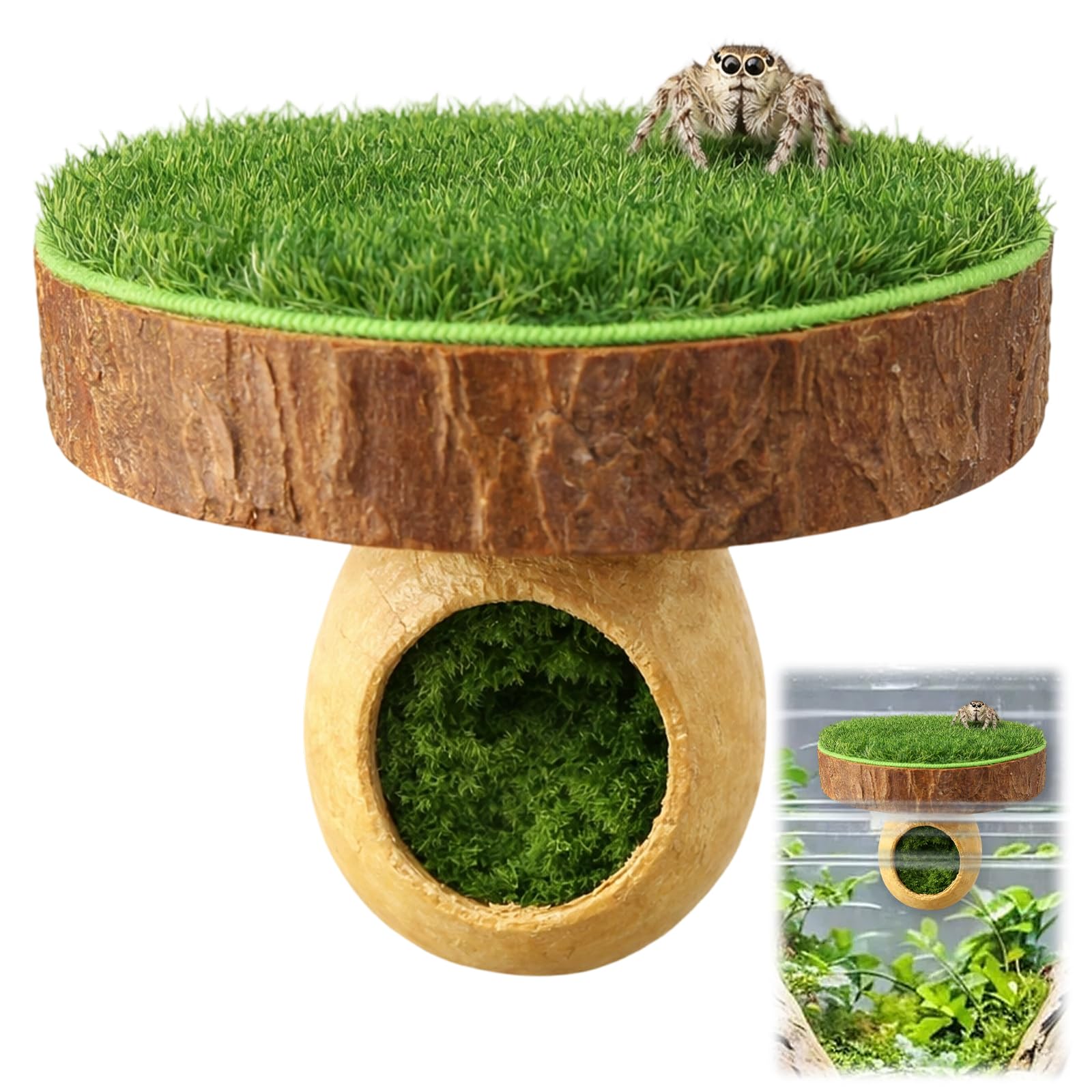 Jumping Spider Accessories, Jumping Spider Enclosure, Suitable for Enriching Fences, Creating Habitats and Jumping In Reptile Habitats
