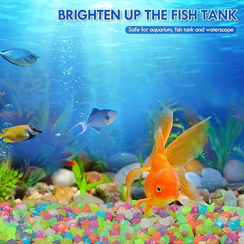 Miniatura 3 de 500 rocas brillantes para decoración al aire libre, pecera luminosa, acuarios, piedras brillantes para jardín, estanque, camino, césped, patio, azul