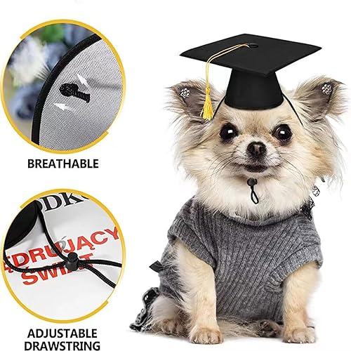 Miniatura 3 de 2 gorras de graduación para mascotas, gatos negros, sombreros de graduación para perros, con corbata, cosplay para mascotas, para perros pequeños,