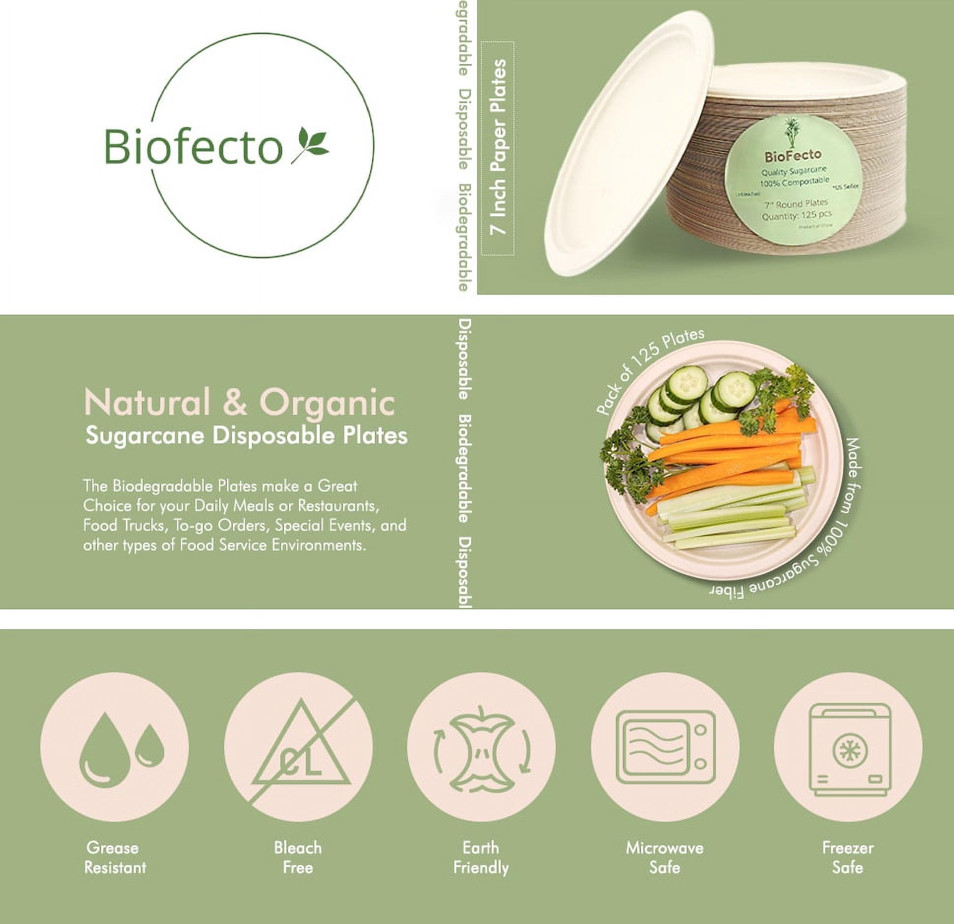 Assiette En Cellulose Naturelle Fibre De Canne à Sucre -Naturel - 23 Cm - Carton De 1000 Unités