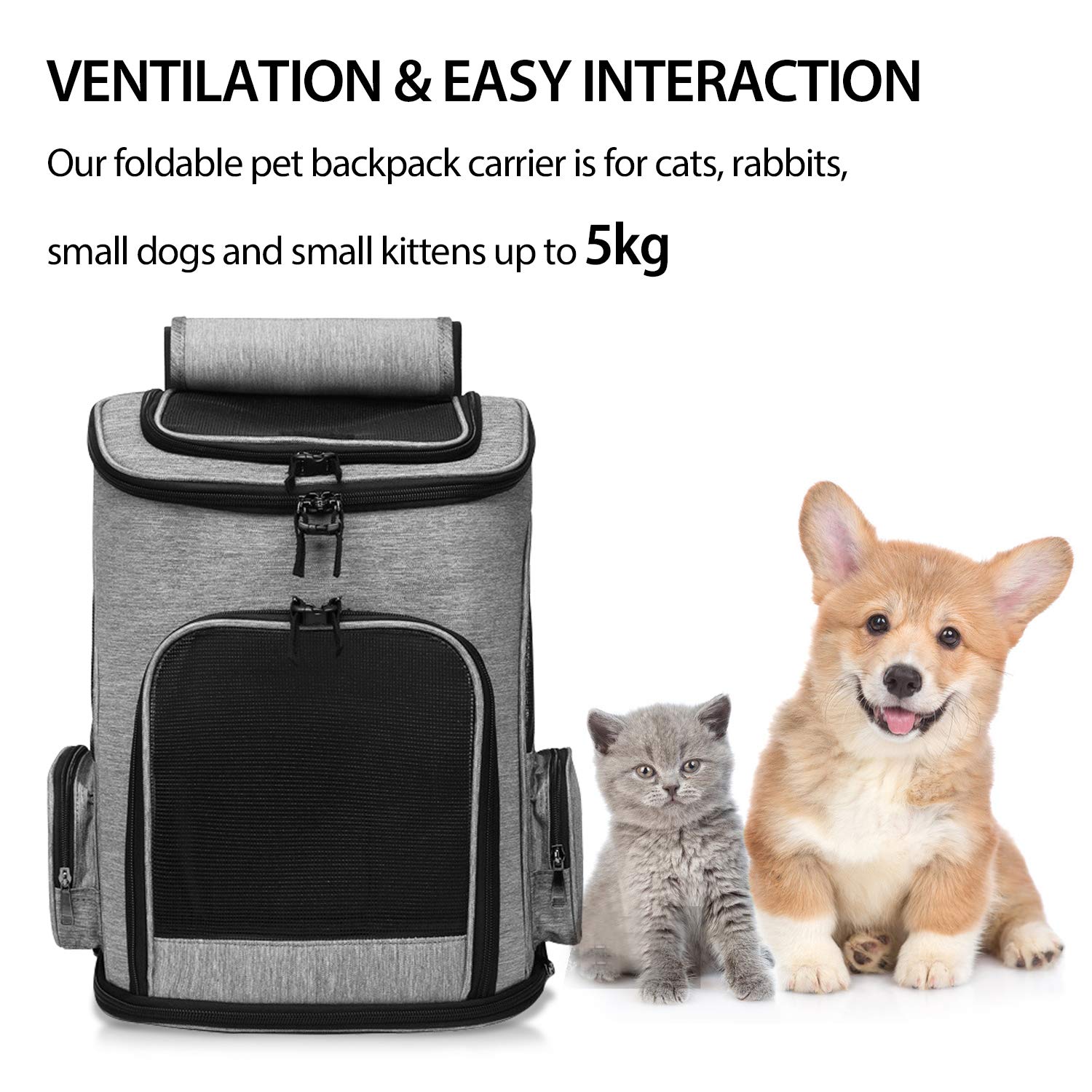 PETCUTE Mochila para Perros Bolsa para Transportar Gatos Mochila Mascotas Transpirable,Viaje Mochila para Llevar Perros Gato Pequeños,Azul