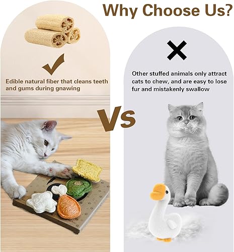 Miniatura 8 de Juguetes masticables para gatos con hierba gatera y SilverVine (Actinidia) para gatitos y gatos cuidado dental y comodidad para la dentición