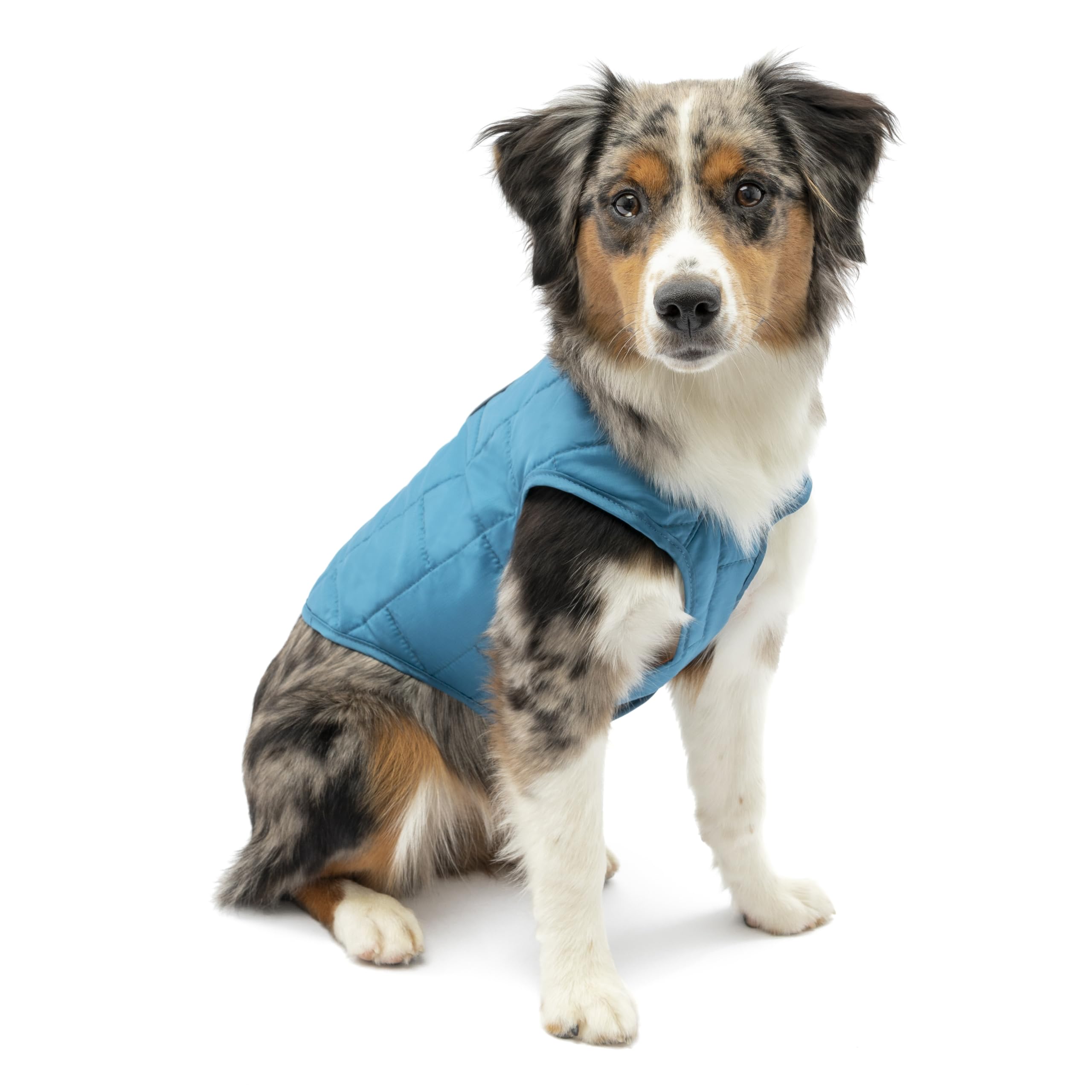 Kurgo Loft Veste Réversible, Petit, Bleu Côtier