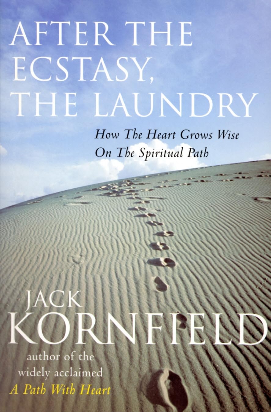 After the Ecstasy, the Laundry