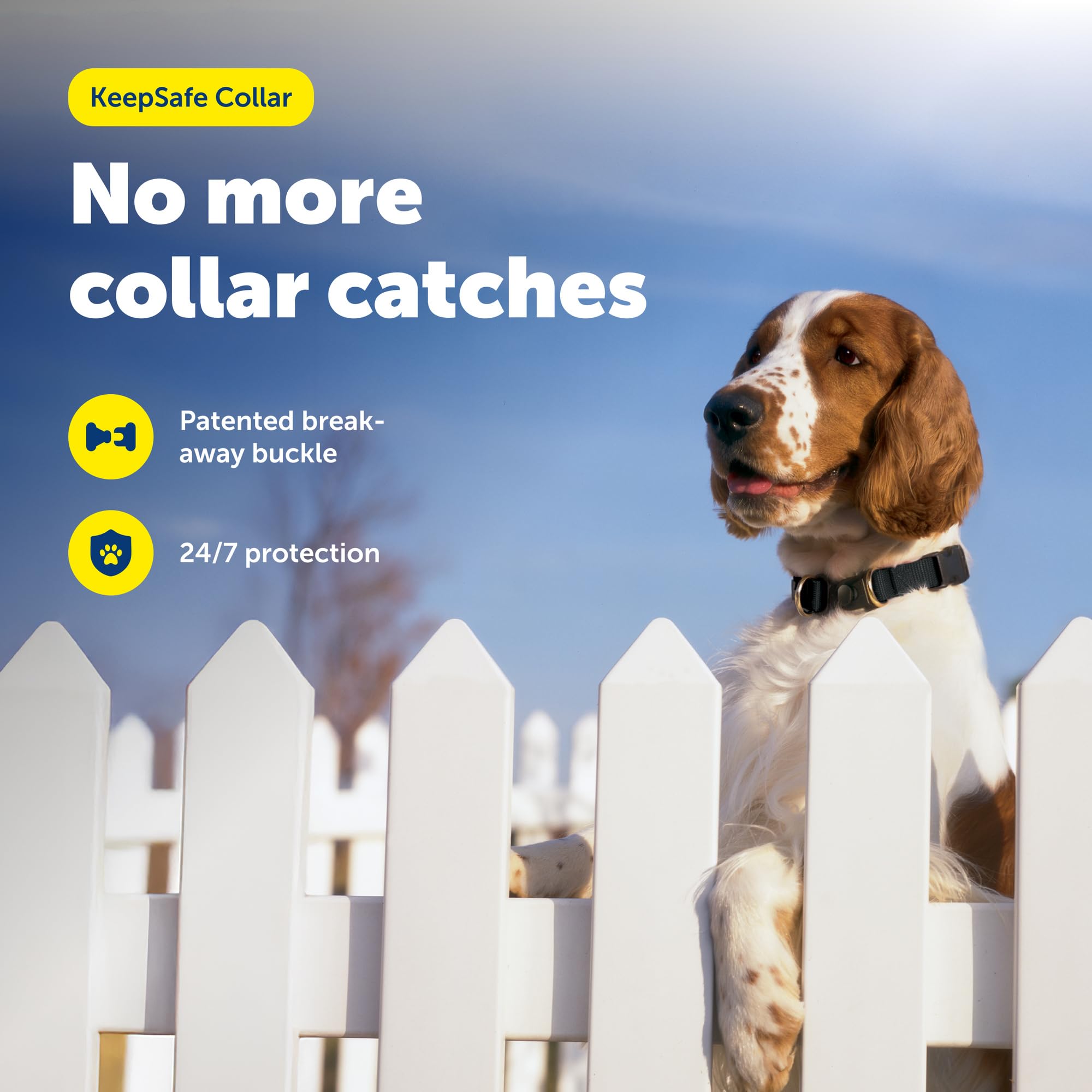 PetSafe KeepSafe strapazierfähiges Halsband für Hunde, Nylon, Patentierte Sicherheits-Schnalle, für alle Hunderassen, Medium (2 inches), schwarz