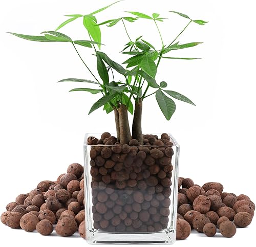 Miniatura 7 de Guijarros de arcilla leca natural, 17 libras, bolas orgánicas expandidas de 0.315 in a 0.709 in, plantas de cultivo de medios, tierra de jardinería