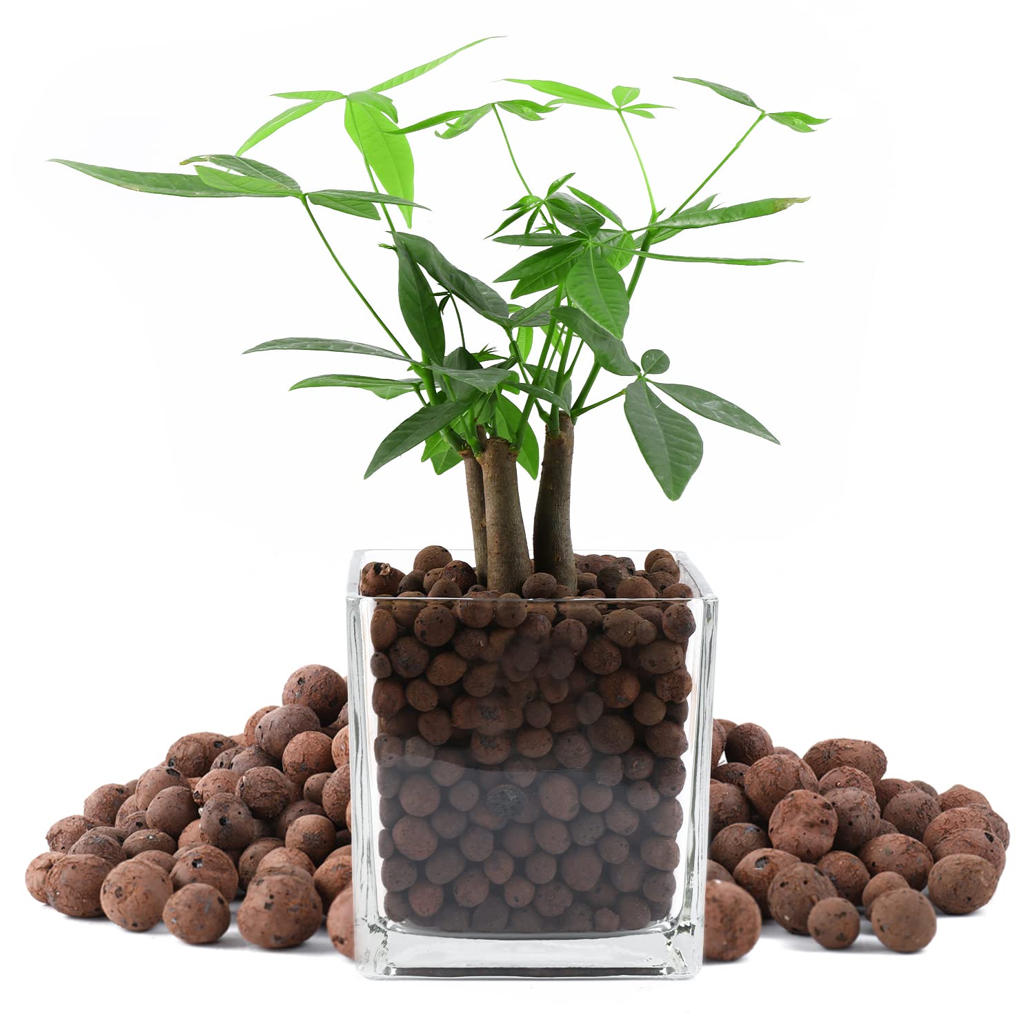 Natürliche Leca Tonkieselsteine, 6,8 kg, 8 mm-18 mm, expandierte organische Kugeln, Pflanzen, Gartenerde für Hydrokultur, Drainage, Dekoration, Aquaponik