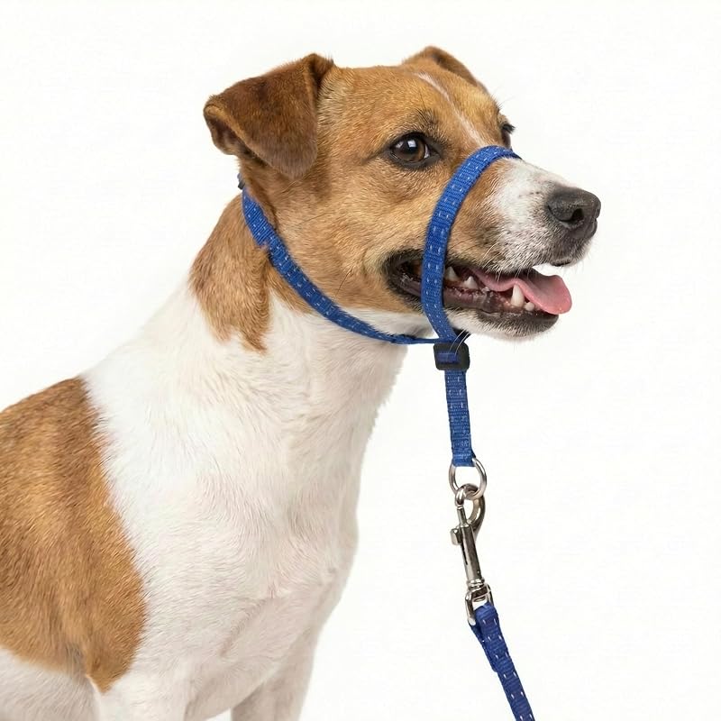Cabresto para cães com acolchoamento macio, detalhes refletivos e guia de nylon PupSensei – Navy Blue (Small)
