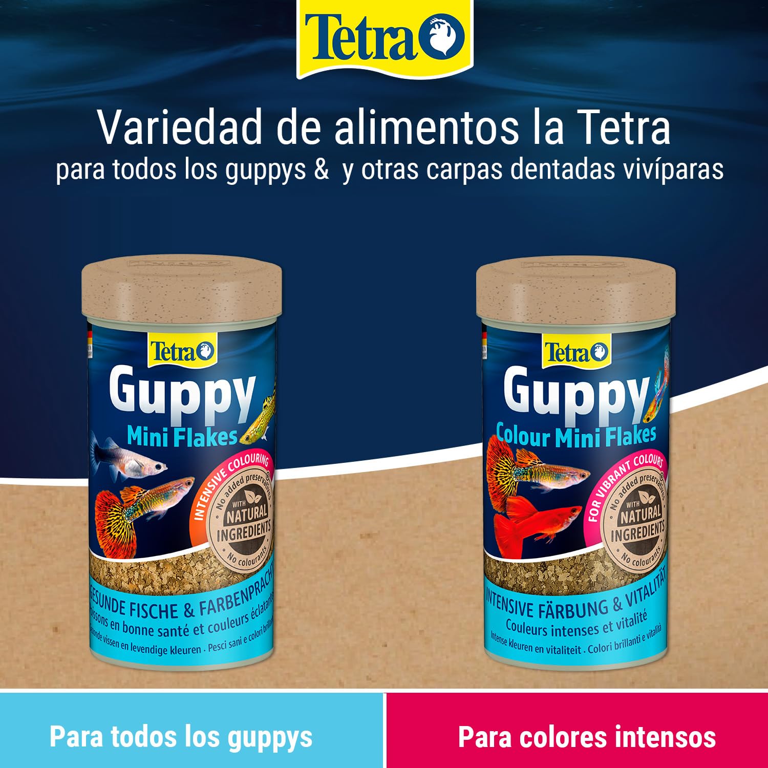 Tetra Guppy Mini Flakes - comida equilibrada y rica en nutrientes para guppys, lata 250 ml