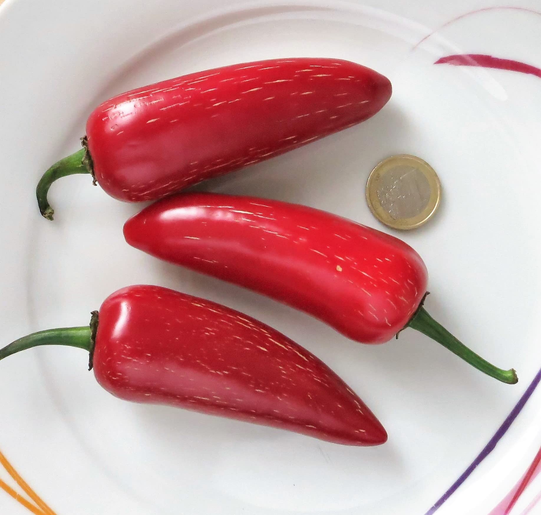 Buy Hot Pepper Seeds 20 Varieties from mild to the Hottest Peppers in