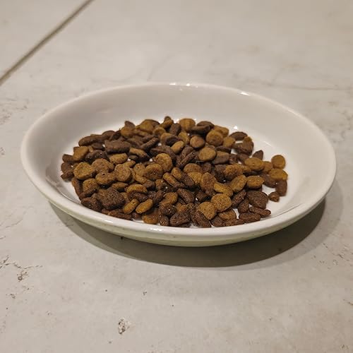 Miniatura 10 de SPOT Plato ovalado moteado para gatos, plato de cerámica con bordes bajos, platillo con forma apta para bigotes y lados de perfil bajo, ideal para