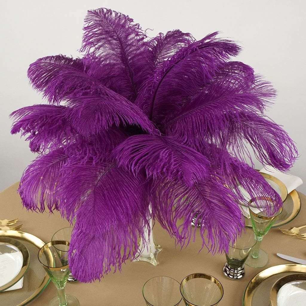 ZUCKER Ostrich Feathers for Centerpieces- Wedding Decorations- Feathers for Crafts, 12 Pieces, 13-16 inch, Very Berry