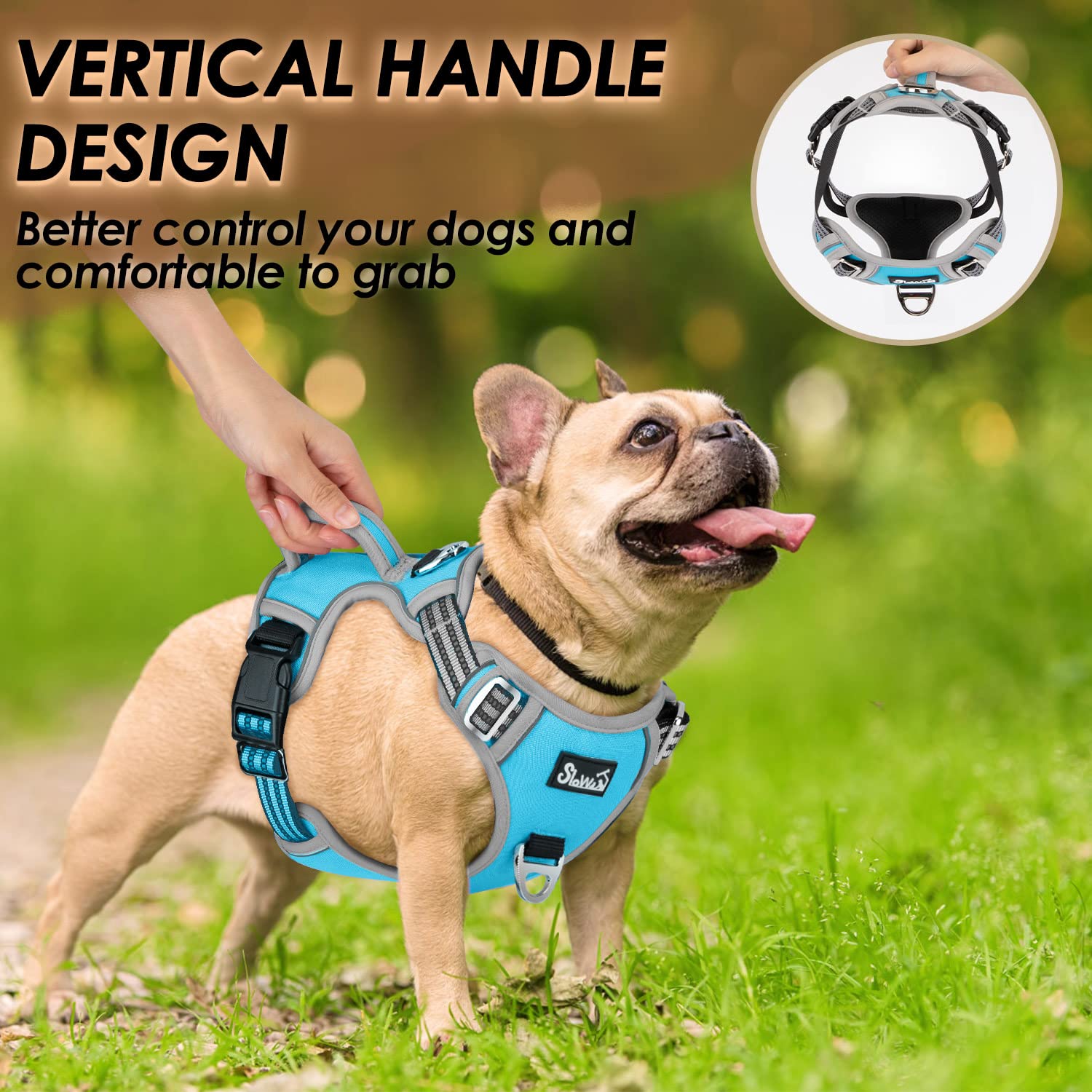 Eyein Dog Harness Small Dog, Anti Pull Adjustable Heavy Duty Pet Vest Harness with 2 Clips, Easy Control Escape Proof Puppy Harness with Soft Padded Handle Reflective for Outdoor Training Walking, S - Image 3