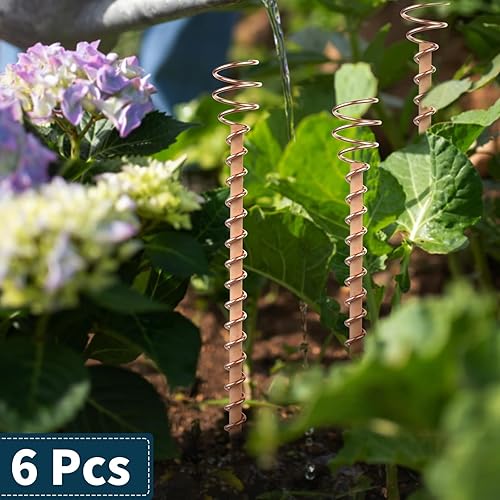 Miniatura 2 de 6 estacas para plantas de electrocultivo, antenas de bobina de cobre de jardinería de 12 pulgadas para cultivar plantas y verduras de jardín,