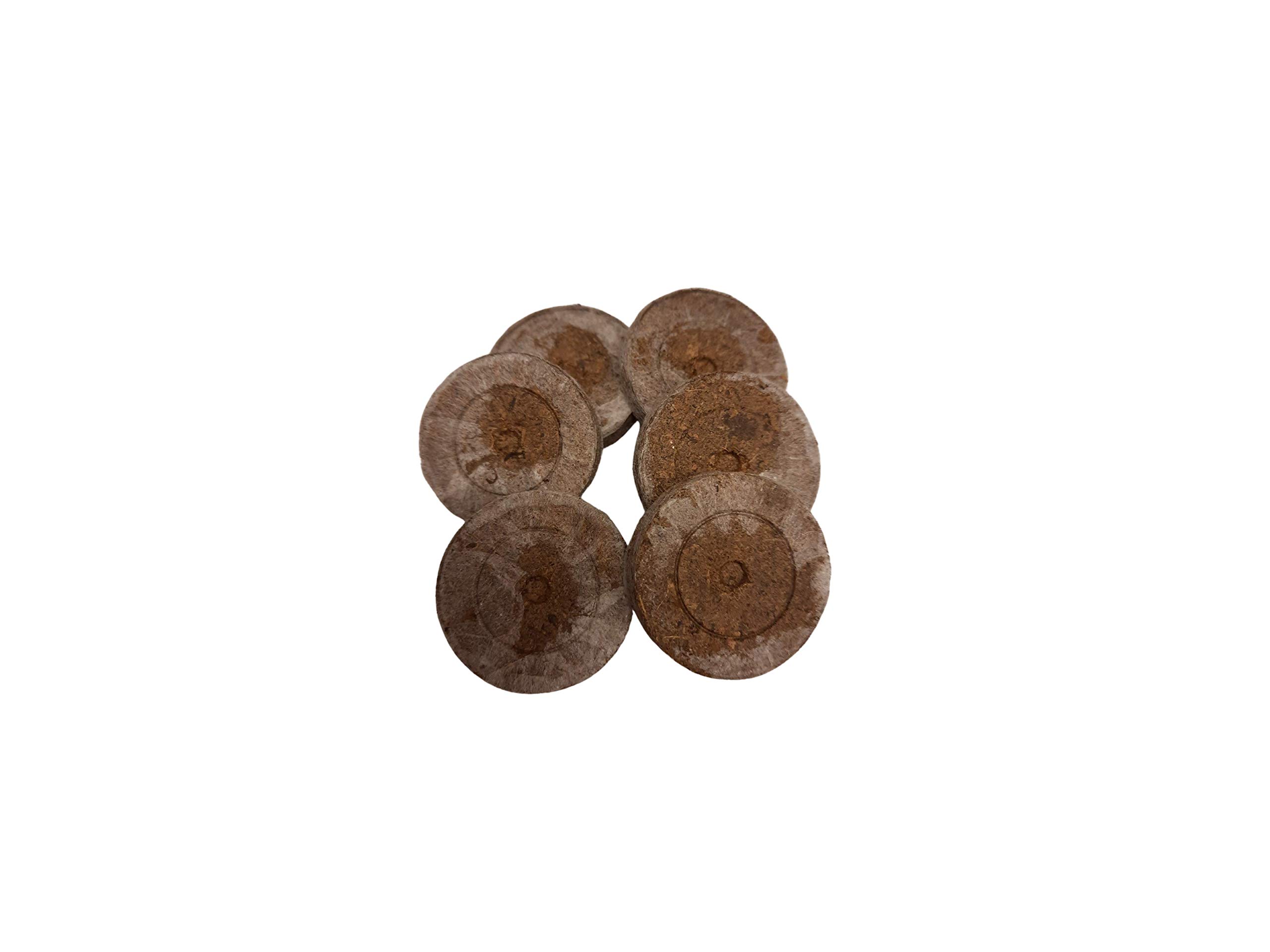 Lasama 100 Stück Jiffy-7 Torfquelltöpfe Ø 38/41 x H 42 mm
