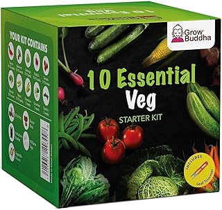 Vegetable Seeds Set - Easily Grow 10 Varieties of Your own Vegetables with Our 10 Vegetable Seeds Starter Kit – Beginner Friendly Gardening Seeds Set – Veg Seeds by Grow Buddha | Unique Gift Idea
