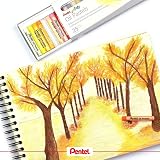 Pentel 25 Color Oily Pastel Chalk PHN-25 – view 4