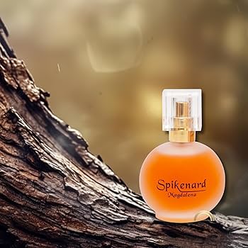 Amazon.com : Spikenard Magdalena 3 Arches USA 1.7 fl oz/50ml