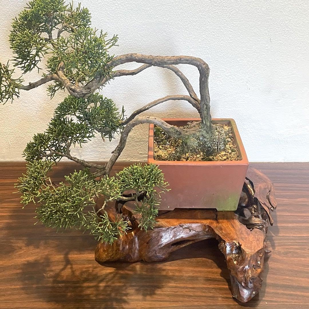 Amazon.co.jp: 1165 花台 盆栽台 流木インテリア 生け花 : DIY