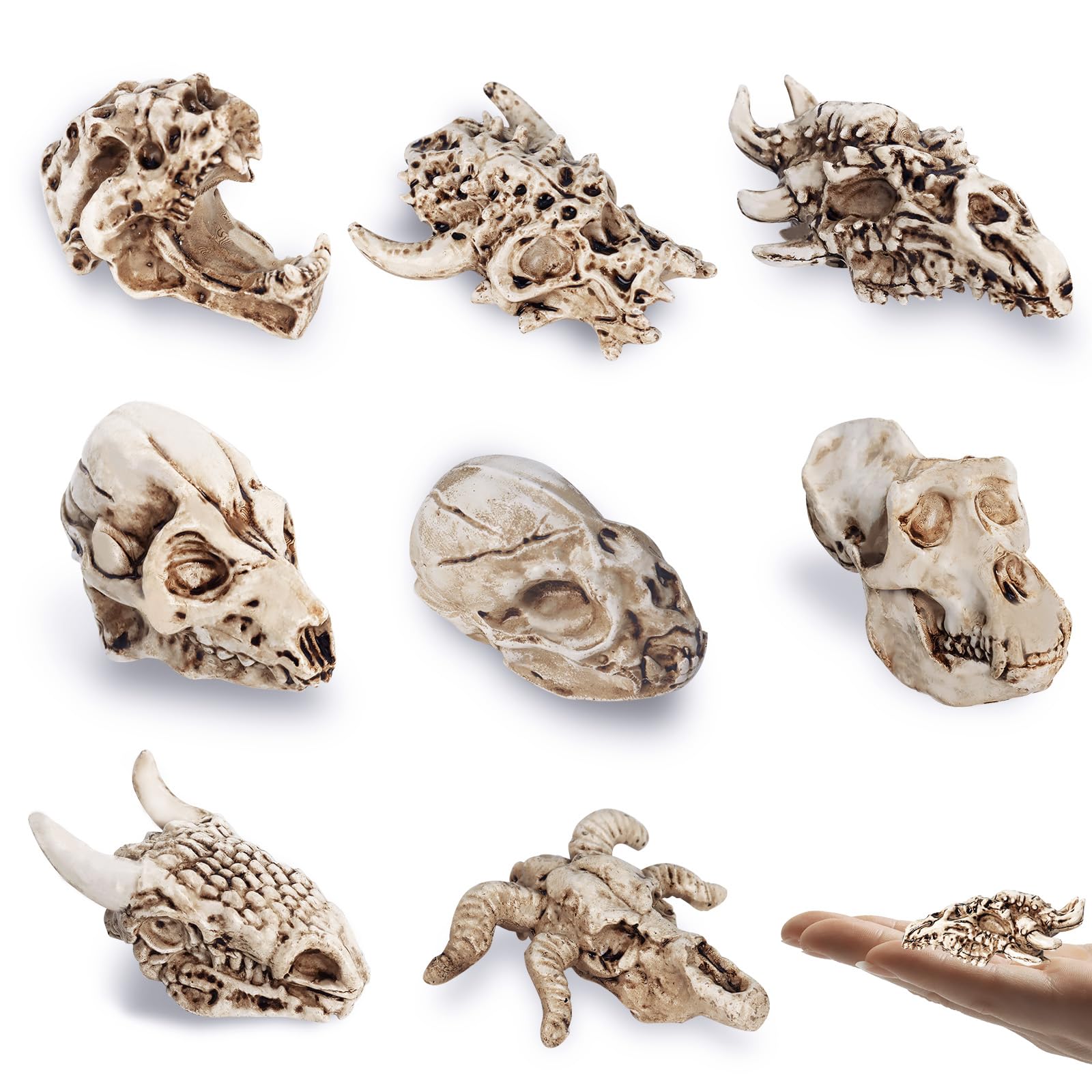 Amazon.co.jp: Bbiamsleep 8個 2.3インチ 動物の頭蓋骨 置物 樹脂