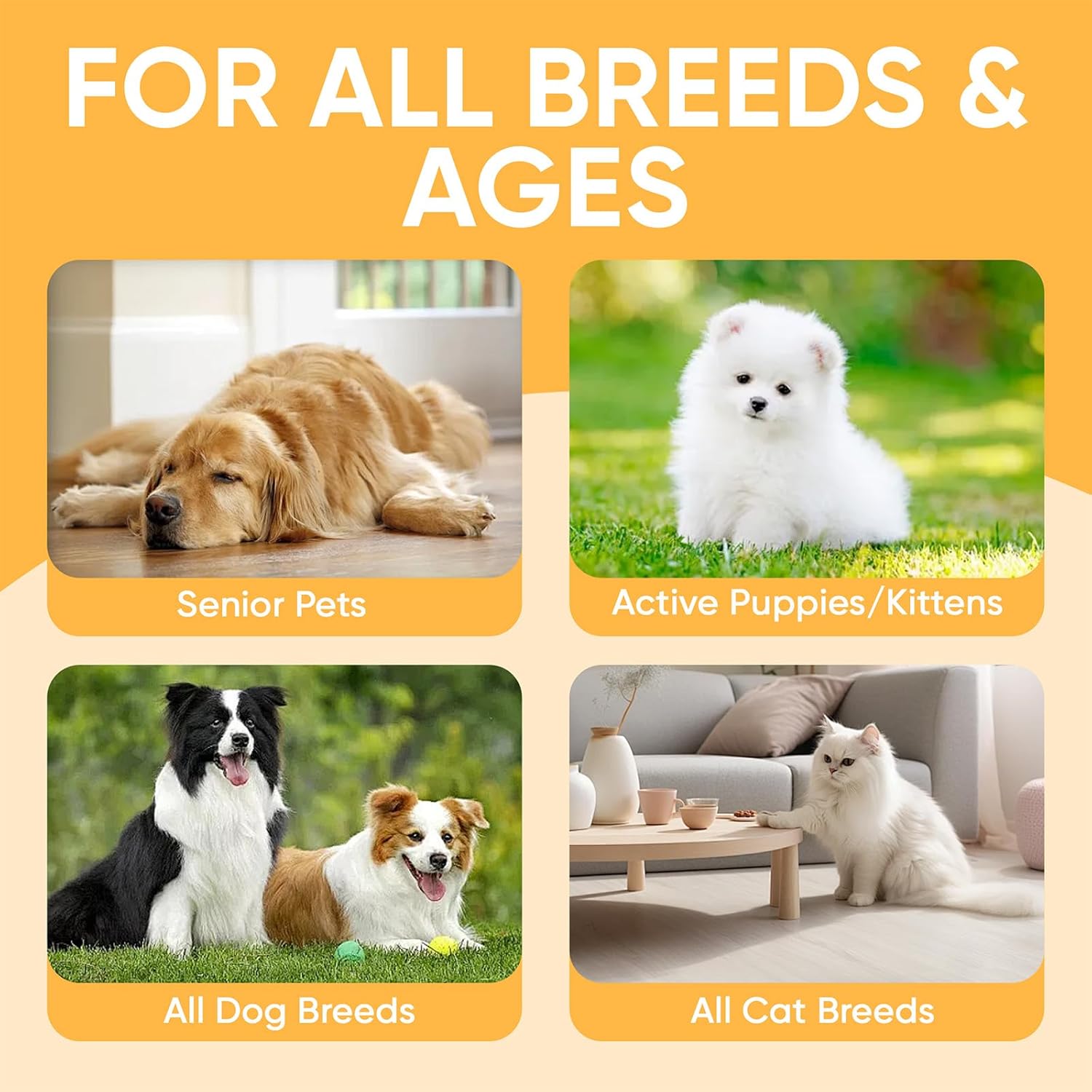 Aura Pets Advanced Vision Formula for Dogs, with Zeaxanthin, Astaxanthin, Lutein, Supports Vision and Overall Eye Health, Clears Debris, Reduces Cloudiness, 60ml