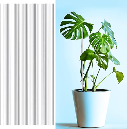 Miniatura 3 de 50 varillas de acrílico para plantas, estacas flexibles y duraderas para mejorar el crecimiento, estirables, soporte estable para plantas de jardín,