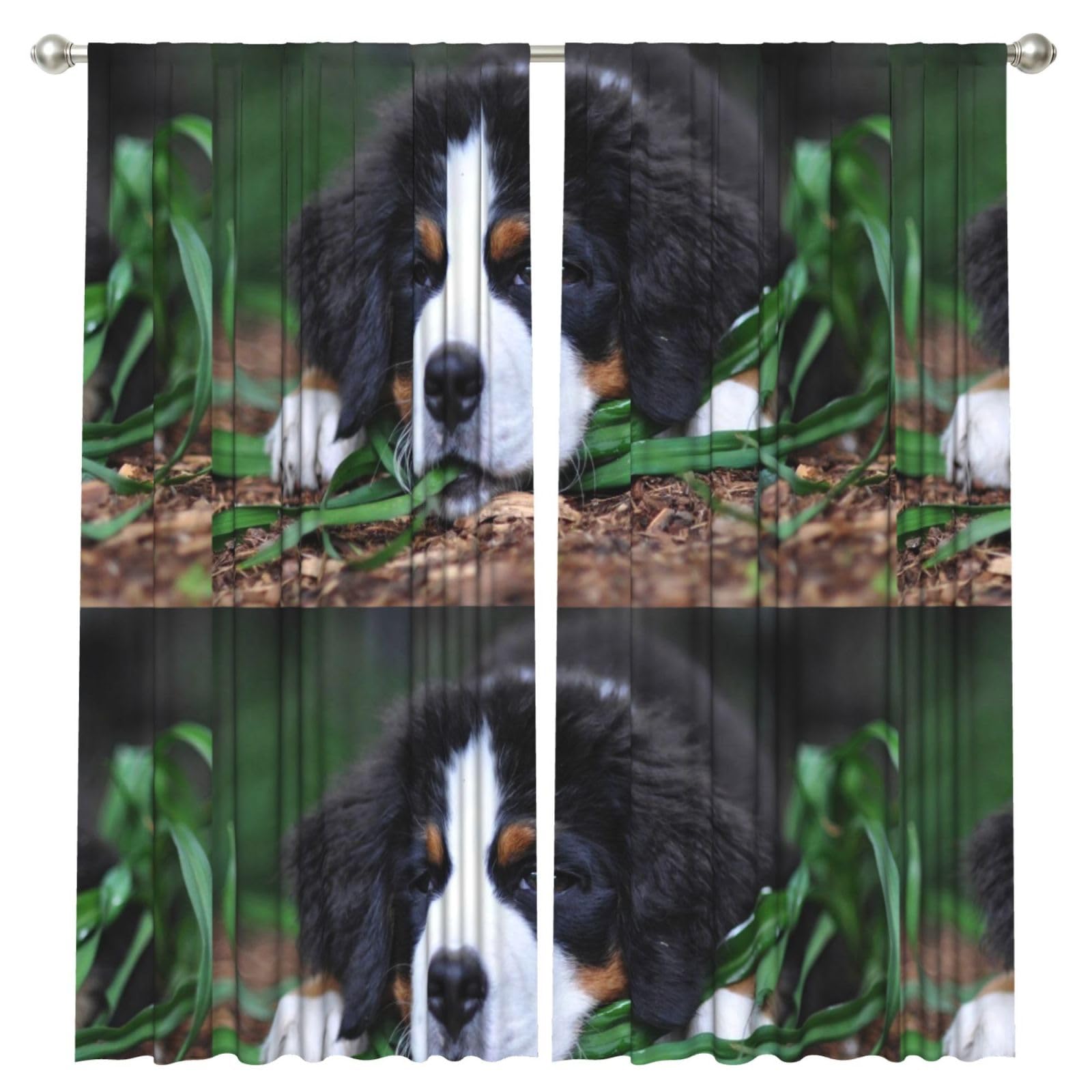 InOmak Lovely Bernese Mountain Dog, 2 Panels Window Curtains 52 x 84 Inch Blackout Curtains for Living Room Bedroom