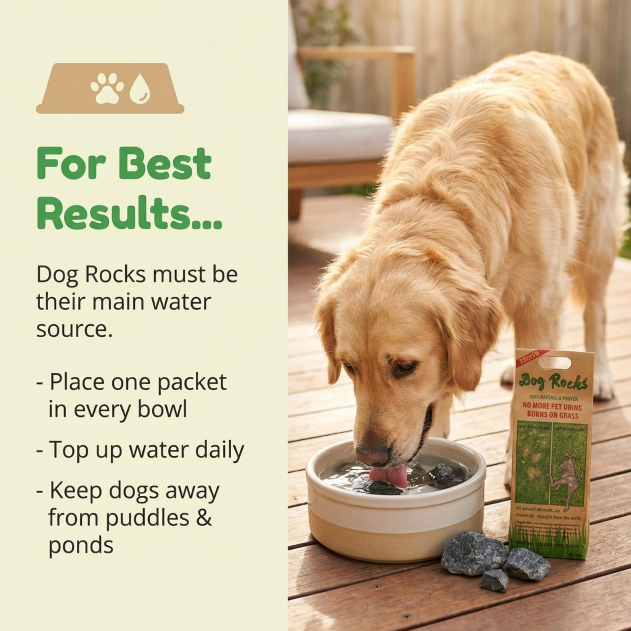 Dog Rocks - Bolso Preventivo de Parche de Orina Dog Rocks (200 g), negro