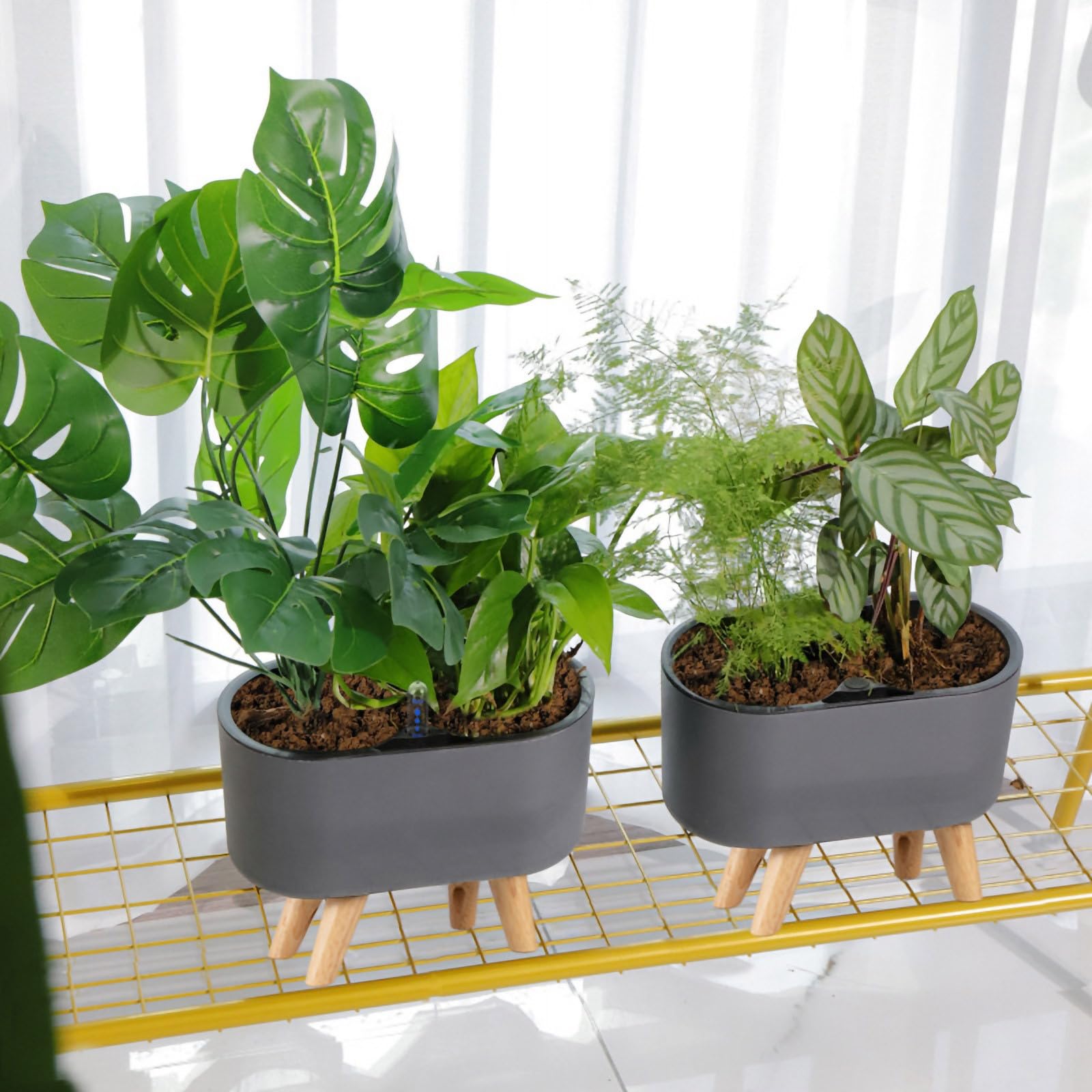 GLEAVI Jardinière à Arrosage Automatique Noir en Plastique Léger Système Auto-Irrigation pour Scindapsus Aureus et Plantes de Jardin Extérieur