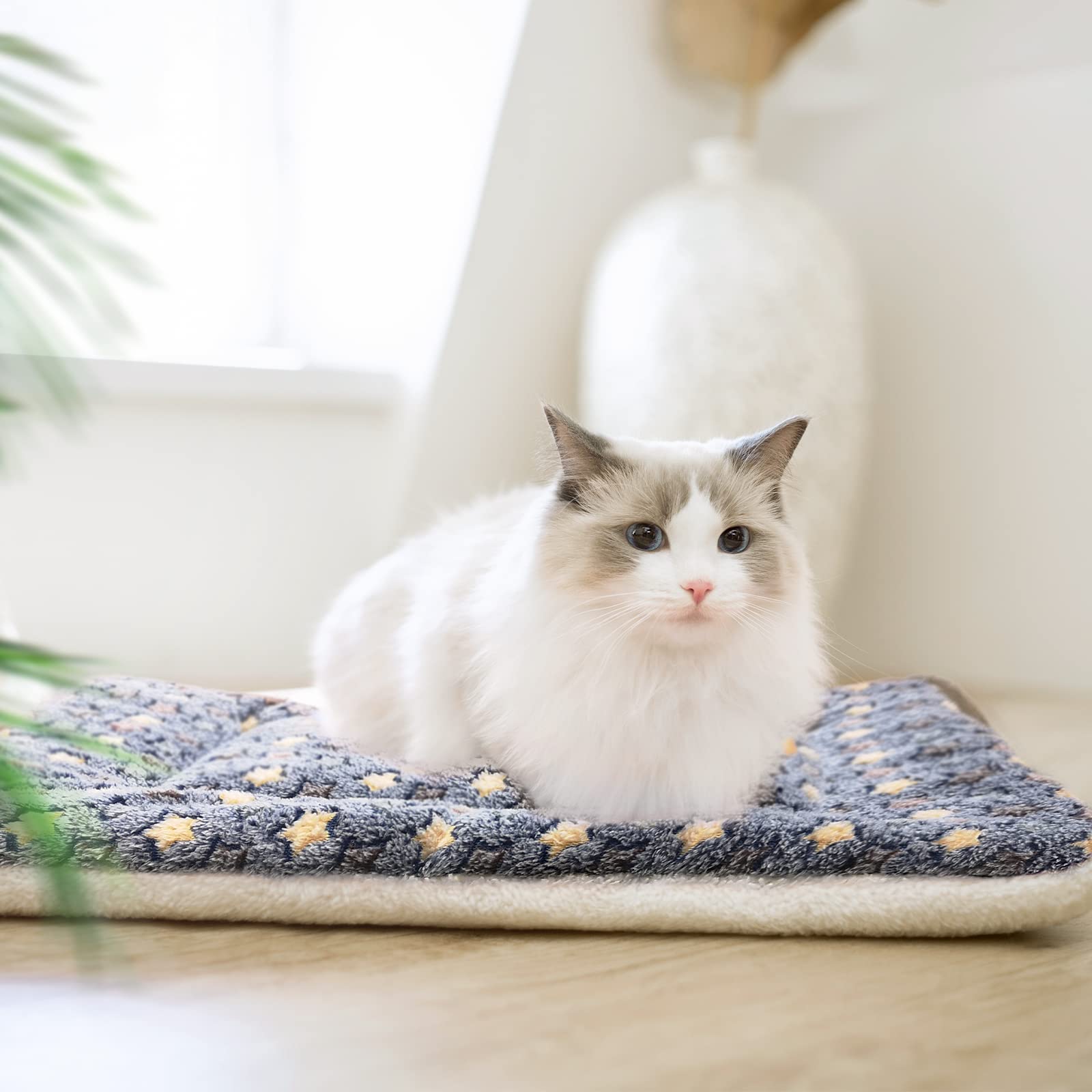 MORA PETS Cat Bed for Indoor Cats Washable Flat Kitten Bed Blanket Soft Warm Pet Pad for 18 inch Cage Small Dog Bed Mat Mattress Puppy Crate Pillow Reversible Extra Small 45x37cm Blue - Image 2