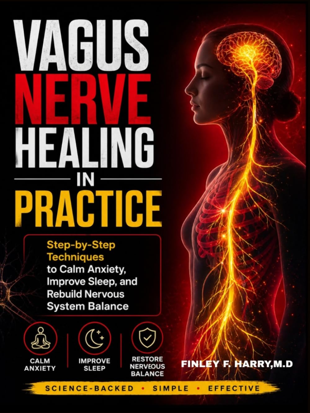 VAGUS NERVE HEALING IN PRACTICE: Step-by-Step Techniques to Calm Anxiety, Improve Sleep, and Rebuild Nervous System Balance