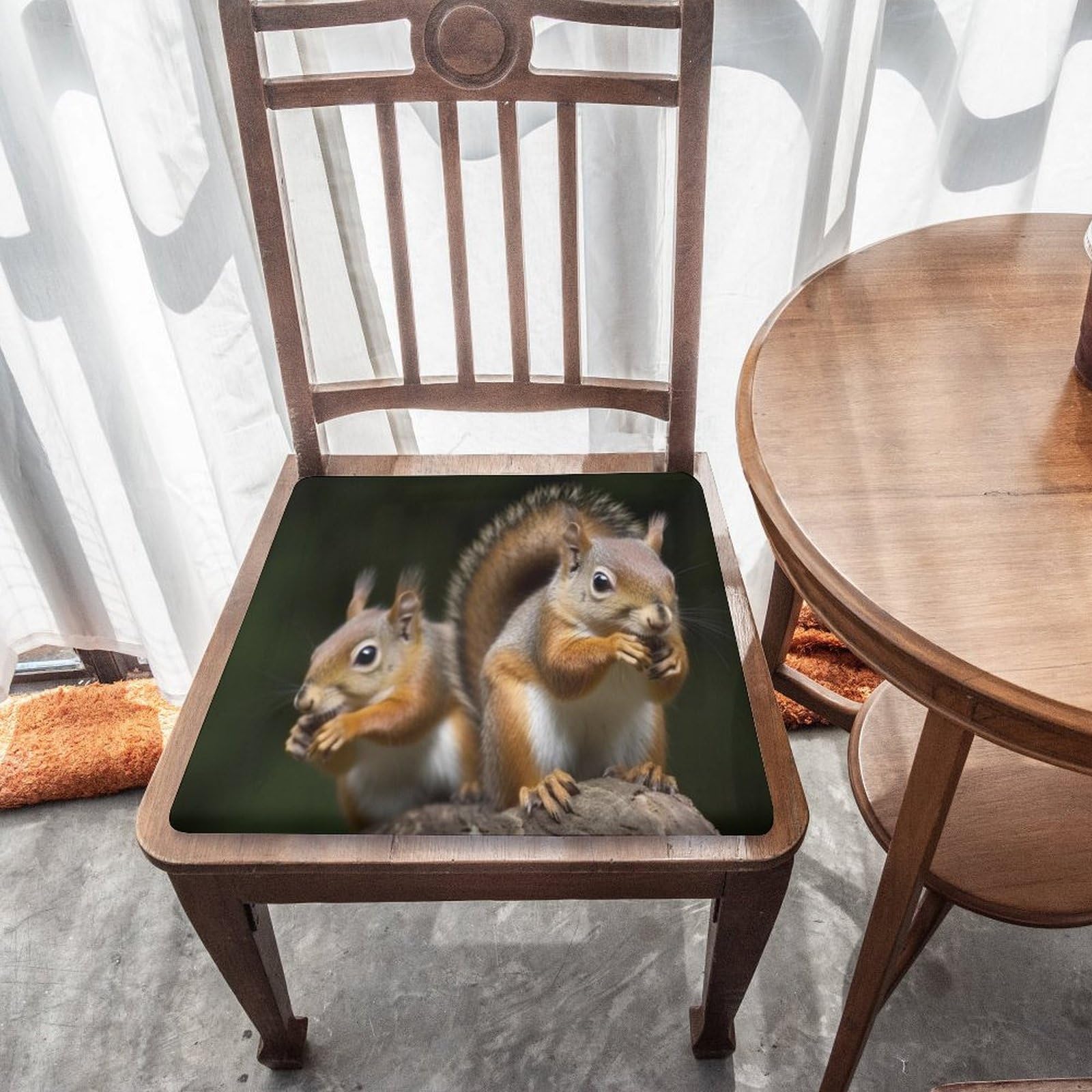 Amazon.com: QMNRTK Squirrel Animal Square Chair Cushion 15 X 15