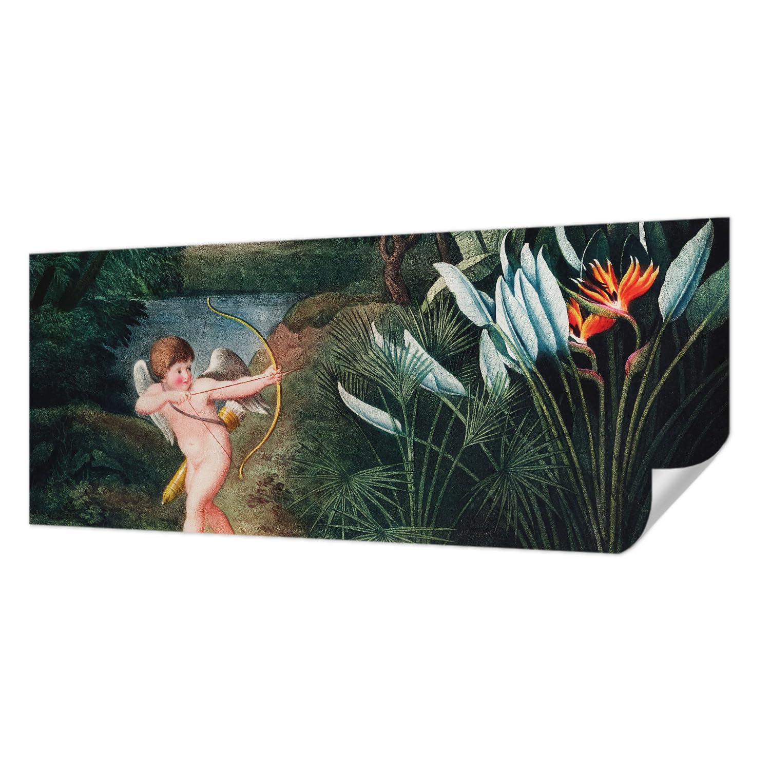 Papier peint autocollant 250x104 cm Cupidon pour salon