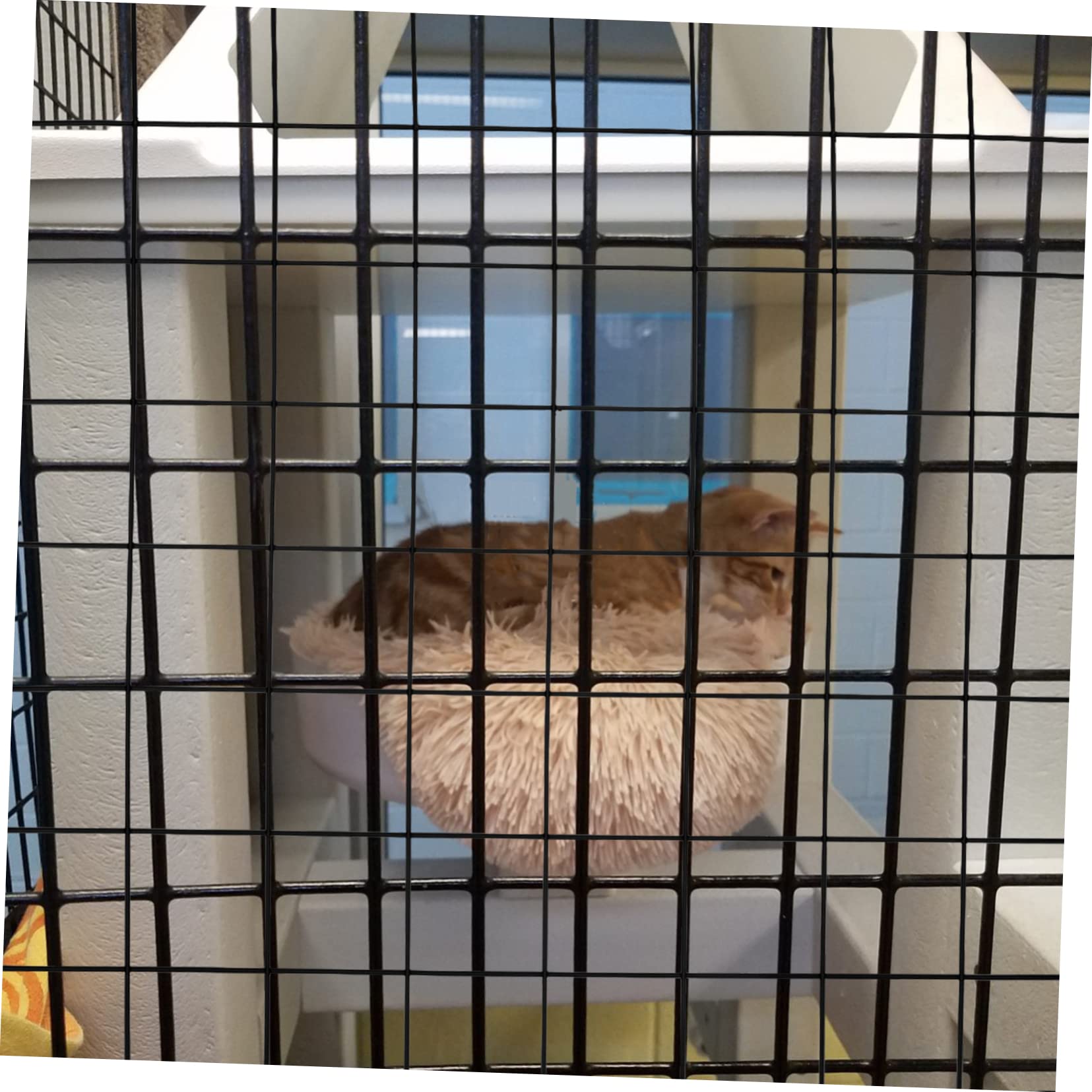 Housoutil Recinzione Pannelli Modulari 4 Pezzi per Animali Domestici in Ferro Nero e Facile da Montare Rete Protettiva Protezione Giardino e Pollame