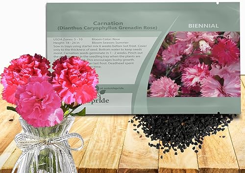 Vista 9 de Outsidepride Semillas de clavel amarillas – 2000 piezas de semillas de flores bienales, fáciles de cultivar para plantar con flores fragantes
