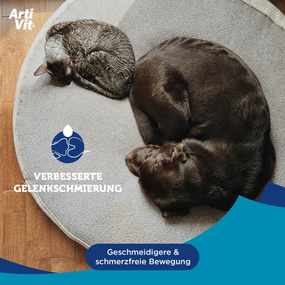Artivit Forte Gelenk Pulver für Hunde & Katze - mit Glucosamin Chondroitin Hochdosiert und Vitamin C, Wirkstoffkomplex MSM & Hyaluron, gelenk- und knochenschutz, kollagen hund, gelenkschmerzen - 600 g