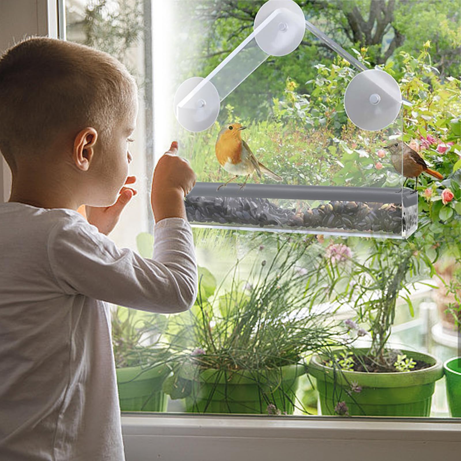 Shudyear Window Bird Feeder - Image 4