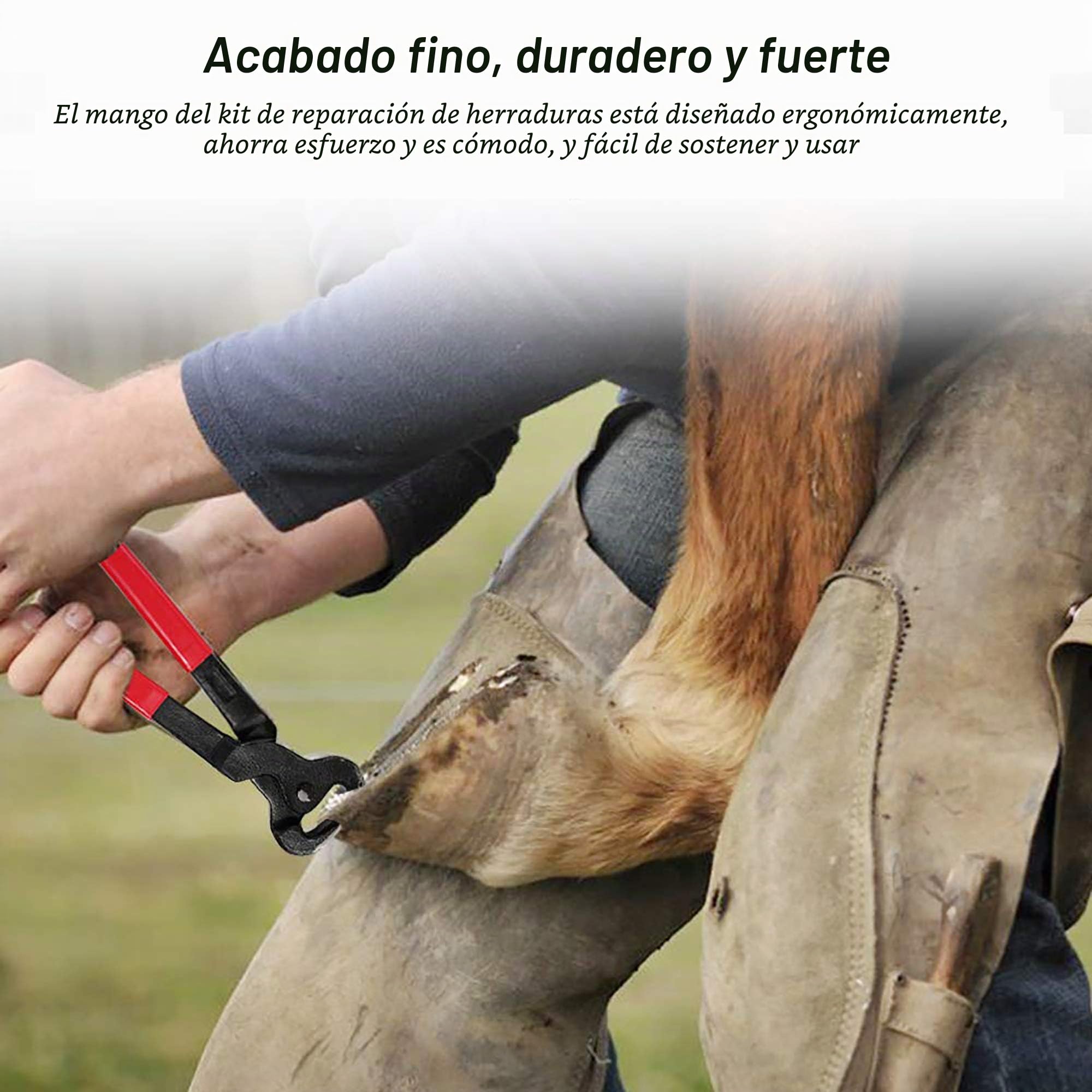 Pezuña de herrador de caballo Kit de herramientas de recorte, Cortadora de pinzas para pezuñas de caballos profesionales, tijeras de metal para cortar caballos, cuidado de pezuñas para caballos