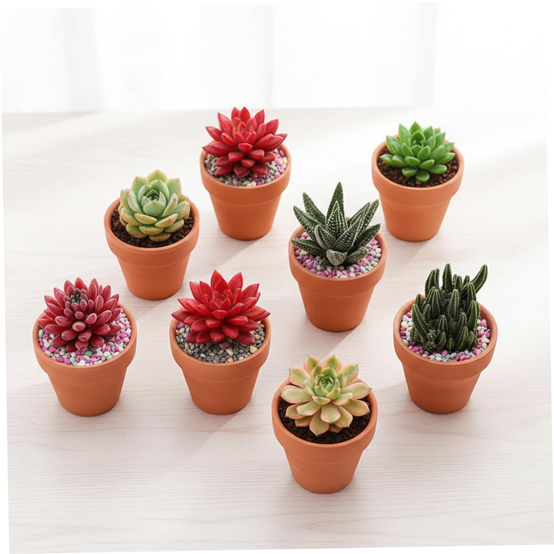 Paquete de 30 Mini Macetas de Terracota de 5x4 cm, Pequeñas Macetas de Barro con Orificio de Drenaje para Suculentas, Plántulas, Propagación, Plantación Artesanal, Decoración del Hogar, Favores