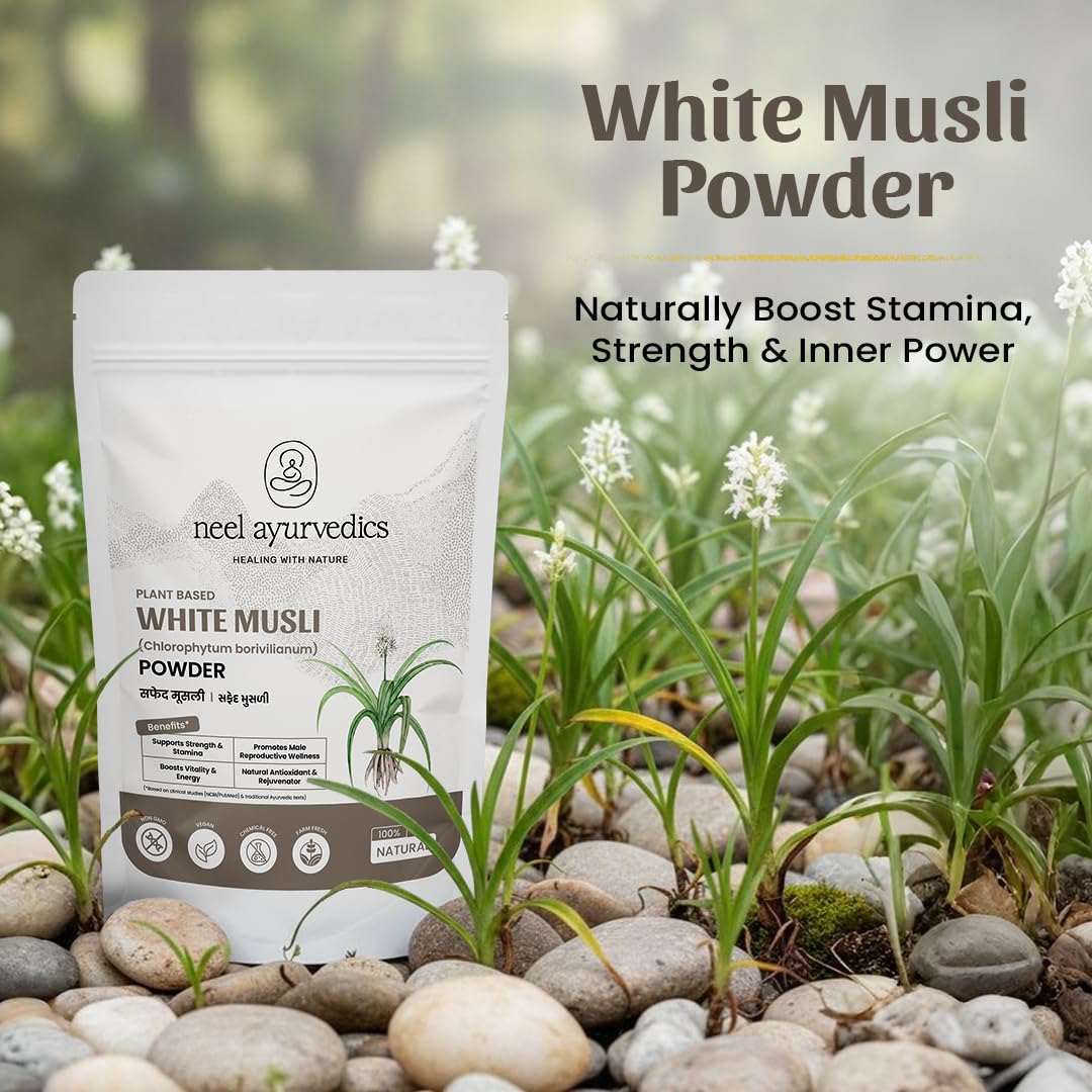 Polvere Musli Bianca - 300 GM