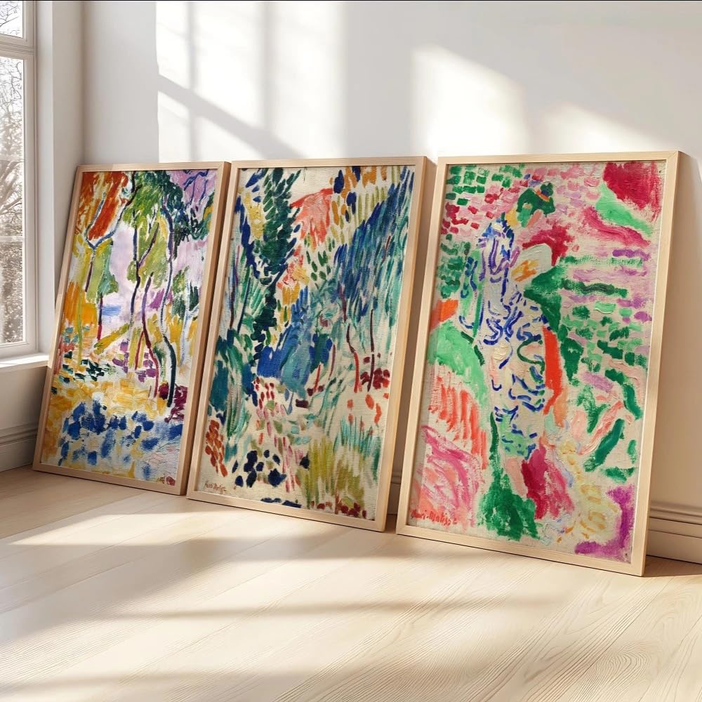 SDVIB Matisse Wall Art Henri Matisse Home Decoration Canvas Poster Prints Home Bedroom Living Room Decoration Poster(50x70cm/3PCS Frameless)
